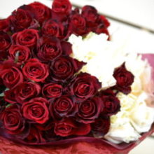 赤バラ、送別の花束